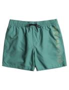 All Day Heritage Lb Badshorts Green Billabong