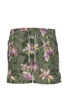 Jpstfiji Jjswim Aop Originals Ly Badshorts Green Jack & J S