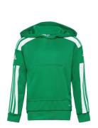 Squadra21 Hoody Youth Sport Sweat-shirts & Hoodies Sweat-shirts Green ...