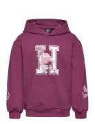 Hmlastrology Hoodie Sport Sweat-shirts & Hoodies Hoodies Purple Hummel