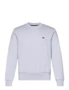 Lacoste Sweatshirts Blå