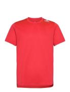 D4R Tee Men Sport T-shirts Short-sleeved Red Adidas Performance
