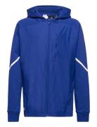 B D4Gmdy Fz Hd Sport Sweat-shirts & Hoodies Hoodies Blue Adidas Sports...
