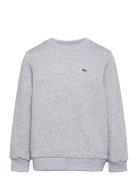 Sweatshirts Sport Sweat-shirts & Hoodies Sweat-shirts Grey Lacoste