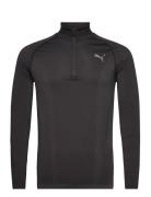 Train Formknit Seamless 1/2 Zip Sport Sweat-shirts & Hoodies Fleeces &...