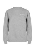 Iconic Sweatshirt Sport Sweat-shirts & Hoodies Sweat-shirts Grey Röhni...