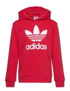 Trefoil Hoodie Sport Sweat-shirts & Hoodies Hoodies Red Adidas Origina...