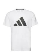 Adidas Performance Tr-Es Fr Logo T Vit