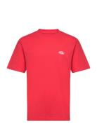 Summerdale Ss Tee Designers T-shirts Short-sleeved Red Dickies