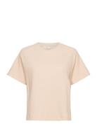 Barbara Ss Sweat Gots Tops T-shirts & Tops Short-sleeved Pink Basic Ap...