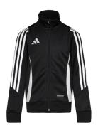 Tiro24 Trjkty Sport Sweat-shirts & Hoodies Sweat-shirts Black Adidas P...