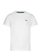 Lacoste Tee-Shirt&Turtle Vit