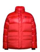 Midweight Down Puffer Jacket Sport Jackets Padded Jacket Red Adidas Or...