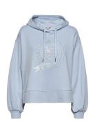 Icon Relaxed Icon Hoody Tops Sweat-shirts & Hoodies Hoodies Blue Tommy...