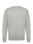 Sdlenz Crew Sw Tops Sweat-shirts & Hoodies Sweat-shirts Grey Solid