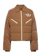 Velvet Puffer Sport Jackets Padded Jacket Brown Adidas Originals