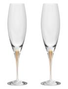 Orrefors Intermezzo Champagne Glass Gold 2-Pack Nude