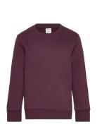 Lindex Sweatshirt Basic Burgundy