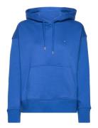D1. Icon G Essential Hoodie Tops Sweat-shirts & Hoodies Hoodies Blue G...