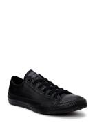 Converse Chuck Taylor All Star Vit