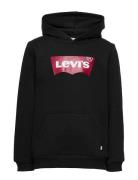Levi's® Screenprint Batwing Pullover Hoodie Tops Sweat-shirts & Hoodie...
