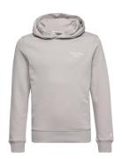 Calvin Klein Ckj Stack Logo Hoodie Grå