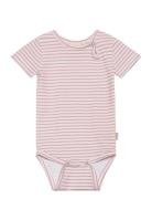 Petit Piao Body S/S Sum Printed Rosa