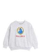 Mini Rodini Parrot Emb Sweatshirt Grå