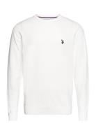 U.S. Polo Assn. Uspa Knit Adair Men Vit