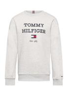 Th Logo Sweatshirt Tops Sweat-shirts & Hoodies Sweat-shirts Grey Tommy...