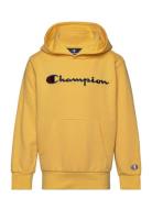 Champion Hooded Sweatshirt Gul