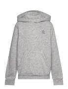 Adidas Originals Hoodie Grå