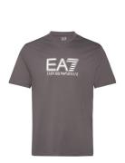 EA7 T-Shirt Grå