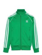 Adidas Originals Sst Track Top Grön