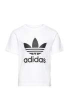 Adidas Originals Trefoil Tee Vit