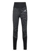 Adidas Sportswear Jg Opt Pri Leg Svart