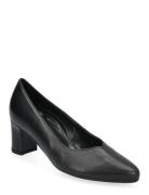 Gabor Pumps Svart