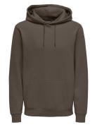 ONLY & SONS Onsceres Hoodie Sweat Noos Brun