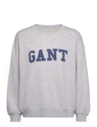 GANT Graphic C-Neck Sweat Grå