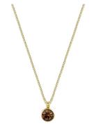 Bud To Rose Lima Necklace Guld