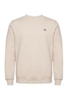 Dickies M Oakport Sweatshirt Kräm