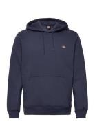 Dickies Oakport Hoodie Marinblå