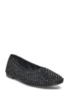 Steve Madden Marli Ballerinas Svart