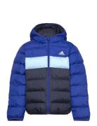 Adidas Sportswear J Sd Jkt Blå