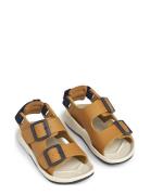 Liewood Anni Sandals Brun