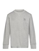 Adidas Originals Long Sleeve Grå