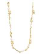 Pilgrim Focus Recycled Necklace Guld