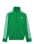 Adidas Originals Firebird Top Grön