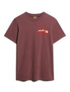 Superdry Great Outdoor Chest Graphc Tee Brun