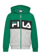 FILA Baar-Ebenhausen Blocked Zip Hoody Grön